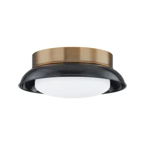 Arnie 2 Light Flush Mount