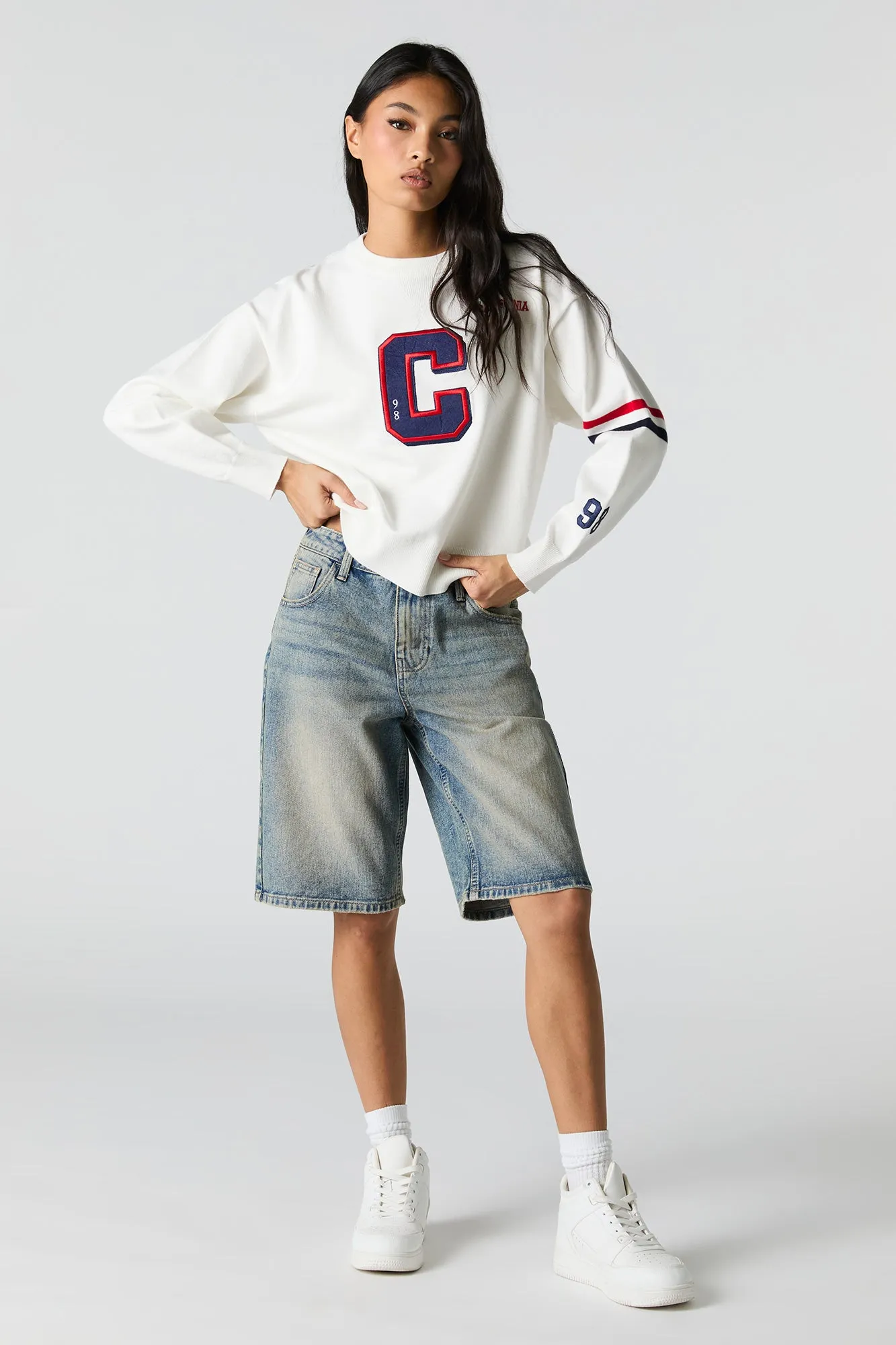 Twill Embroidered Striped Sleeve Knit Sweater